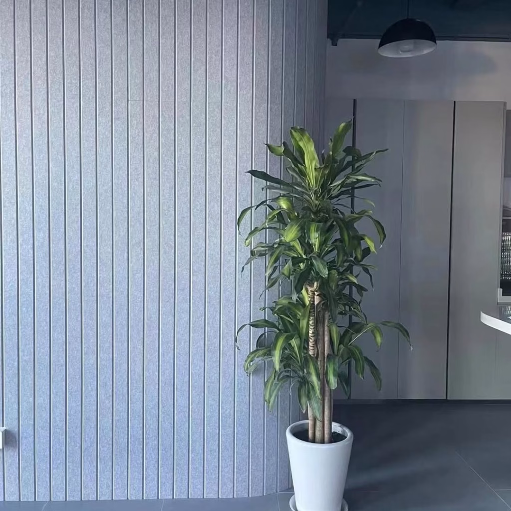 wood slat acoustic panels